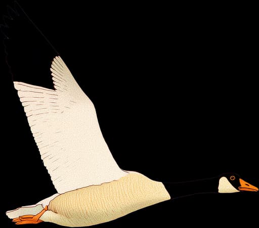 Swan